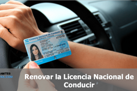 Renovar la Licencia Nacional de Conducir